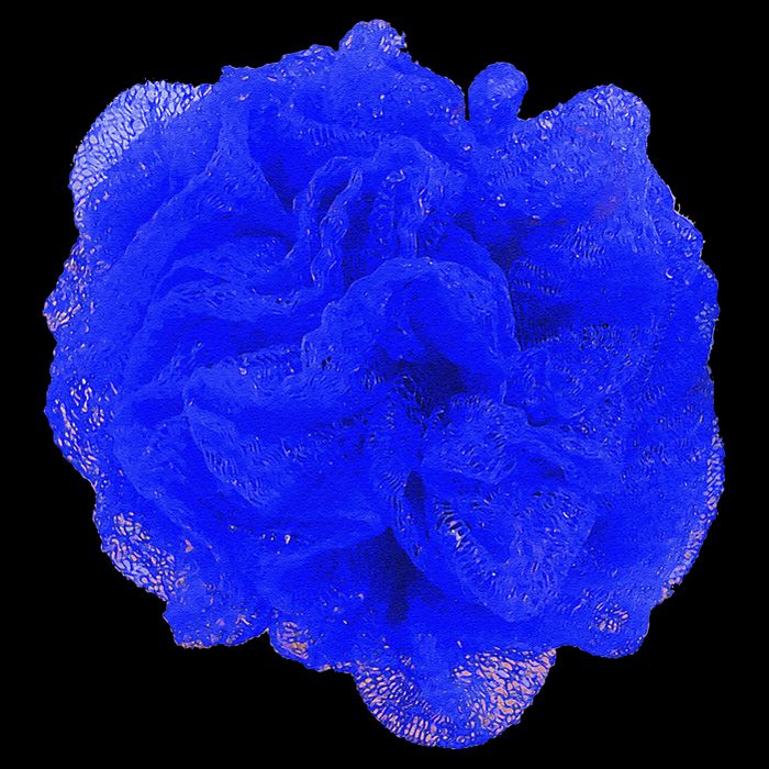 Blue Loofah Halloween Costume Luffa Mesh Bath Shower Sponge 16 in Basic Backpack