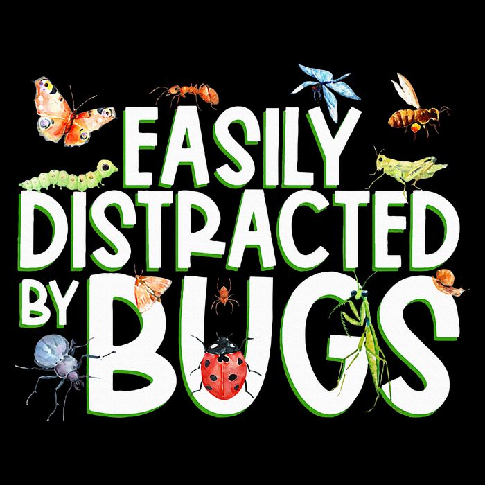 Bug Lover Insect Lover Types Of Bugs Bug Collector Bug T-Shirt