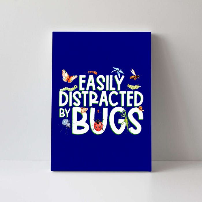 Bug Lover Insect Lover Types Of Bugs Bug Collector Bug Canvas