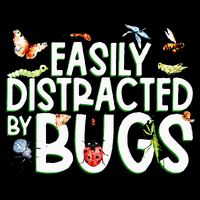 Bug Lover Insect Lover Types Of Bugs Bug Collector Bug Mousepad
