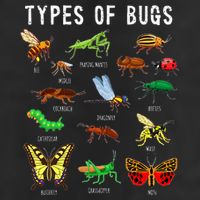 Bug Lover Insect Lover Types Of Bugs Bug Collector Bug Beanie