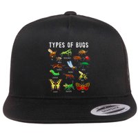 Bug Lover Insect Lover Types Of Bugs Bug Collector Bug Flatbill Hat