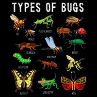 Bug Lover Insect Lover Types Of Bugs Bug Collector Bug Flatbill Hat