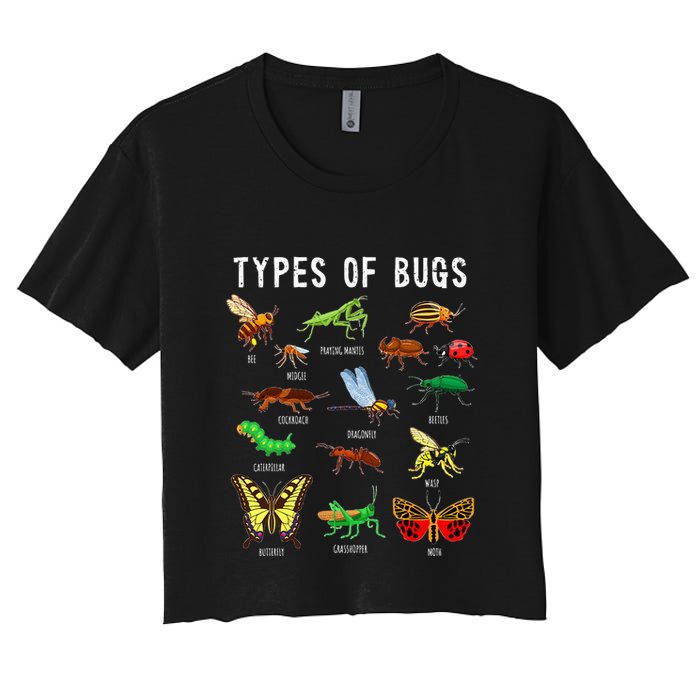 Bug Lover Insect Lover Types Of Bugs Bug Collector Bug Crop Top