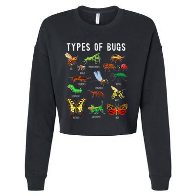 Bug Lover Insect Lover Types Of Bugs Bug Collector Bug Cropped Pullover Crew