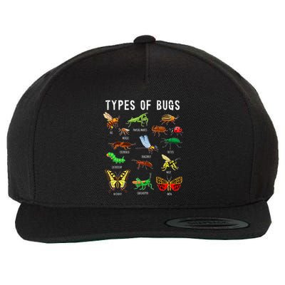 Bug Lover Insect Lover Types Of Bugs Bug Collector Bug Wool Snapback Cap