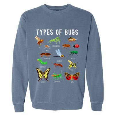 Bug Lover Insect Lover Types Of Bugs Bug Collector Bug Garment-Dyed Sweatshirt
