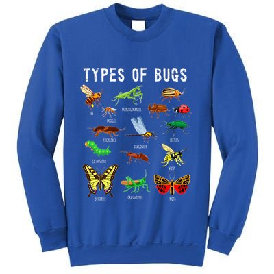 Bug Lover Insect Lover Types Of Bugs Bug Collector Bug Sweatshirt
