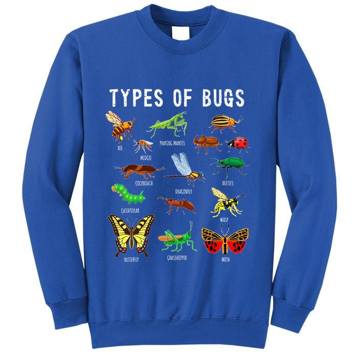 Bug Lover Insect Lover Types Of Bugs Bug Collector Bug Sweatshirt