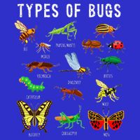 Bug Lover Insect Lover Types Of Bugs Bug Collector Bug Sweatshirt