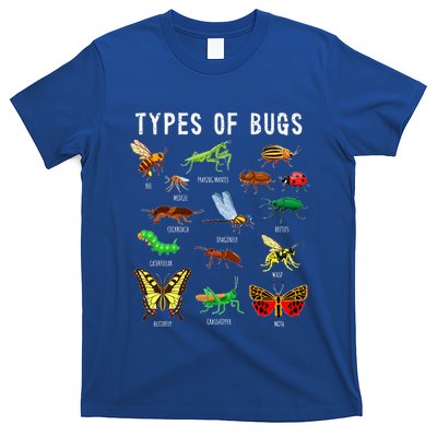 Bug Lover Insect Lover Types Of Bugs Bug Collector Bug T-Shirt