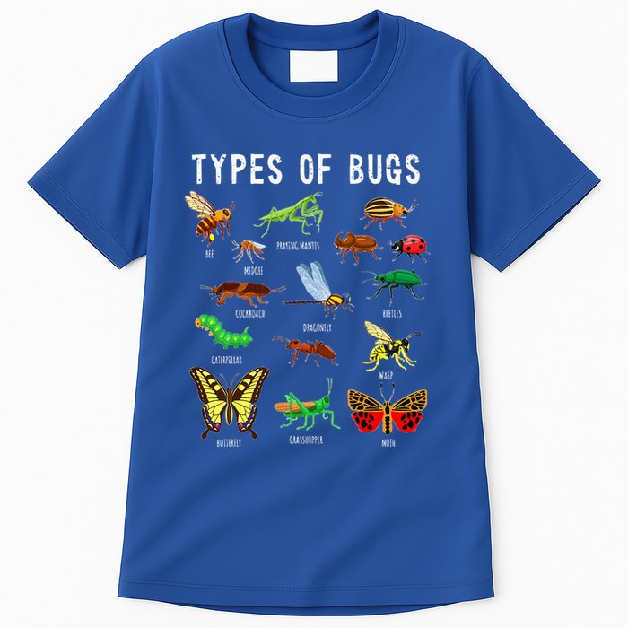 Bug Lover Insect Lover Types Of Bugs Bug Collector Bug Tall T-Shirt