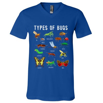 Bug Lover Insect Lover Types Of Bugs Bug Collector Bug V-Neck T-Shirt