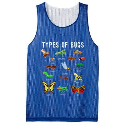 Bug Lover Insect Lover Types Of Bugs Bug Collector Bug Mesh Reversible Basketball Jersey Tank