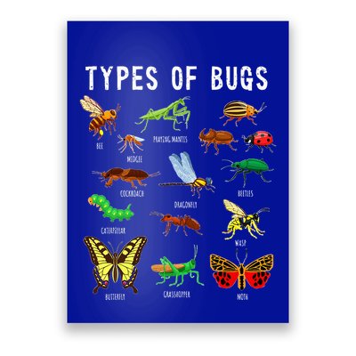 Bug Lover Insect Lover Types Of Bugs Bug Collector Bug Poster