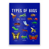 Bug Lover Insect Lover Types Of Bugs Bug Collector Bug Poster