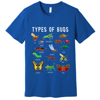 Bug Lover Insect Lover Types Of Bugs Bug Collector Bug Premium T-Shirt