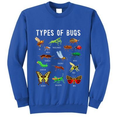 Bug Lover Insect Lover Types Of Bugs Bug Collector Bug Tall Sweatshirt