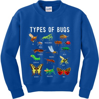 Bug Lover Insect Lover Types Of Bugs Bug Collector Bug Kids Sweatshirt