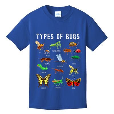 Bug Lover Insect Lover Types Of Bugs Bug Collector Bug Kids T-Shirt
