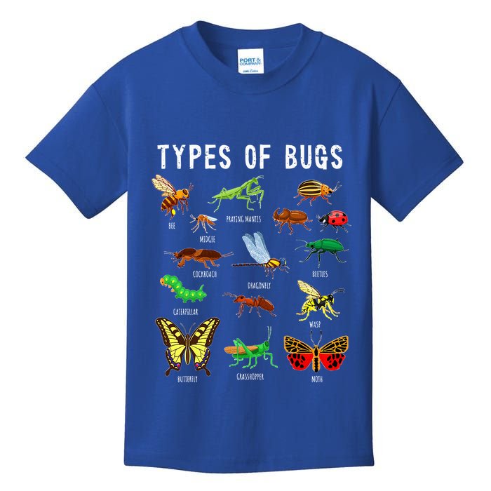 Bug Lover Insect Lover Types Of Bugs Bug Collector Bug Kids T-Shirt