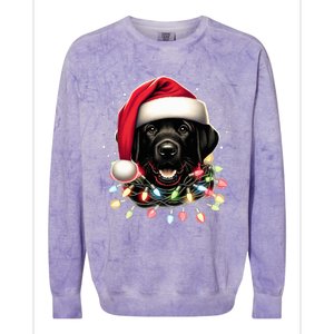 Black Lab Labrador Christmas Tree Light Pajama Dog Xmas  Colorblast Crewneck Sweatshirt