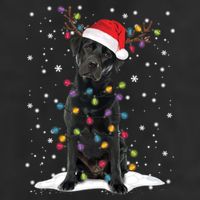Black Lab Labrador Christmas Tree Light Pajama Dog Xmas Gift 11oz C Handle Ceramic Mug