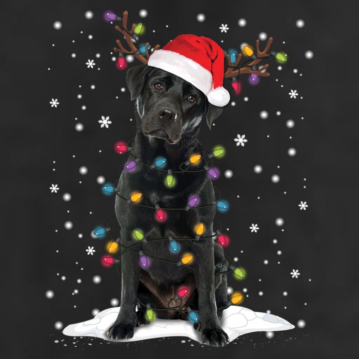 Black Lab Labrador Christmas Tree Light Pajama Dog Xmas Gift 11oz C Handle Ceramic Mug