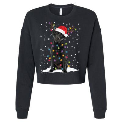 Black Lab Labrador Christmas Tree Light Pajama Dog Xmas Gift Cropped Pullover Crew