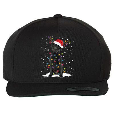 Black Lab Labrador Christmas Tree Light Pajama Dog Xmas Gift Wool Snapback Cap