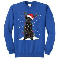 Black Lab Labrador Christmas Tree Light Pajama Dog Xmas Gift Sweatshirt