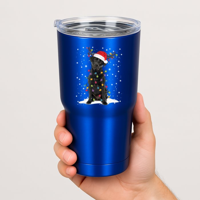 Black Lab Labrador Christmas Tree Light Pajama Dog Xmas Gift Tumbler