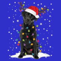 Black Lab Labrador Christmas Tree Light Pajama Dog Xmas Gift Tumbler