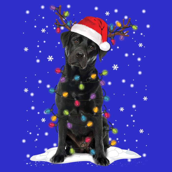 Black Lab Labrador Christmas Tree Light Pajama Dog Xmas Gift Toddler T-Shirt