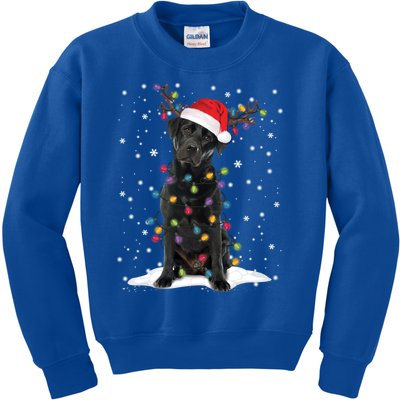 Black Lab Labrador Christmas Tree Light Pajama Dog Xmas Gift Kids Sweatshirt