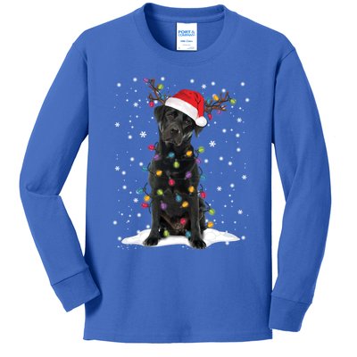 Black Lab Labrador Christmas Tree Light Pajama Dog Xmas Gift Kids Long Sleeve Shirt