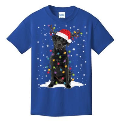 Black Lab Labrador Christmas Tree Light Pajama Dog Xmas Gift Kids T-Shirt