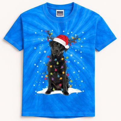 Black Lab Labrador Christmas Tree Light Pajama Dog Xmas Gift Kids Tie-Dye T-Shirt