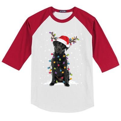 Black Lab Labrador Christmas Tree Light Pajama Dog Xmas Gift Kids Colorblock Raglan Jersey