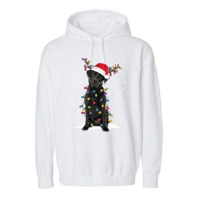 Black Lab Labrador Christmas Tree Light Pajama Dog Xmas Gift Garment-Dyed Fleece Hoodie