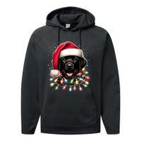 Black Lab Labrador Christmas Tree Light Pajama Dog Xmas Performance Fleece Hoodie