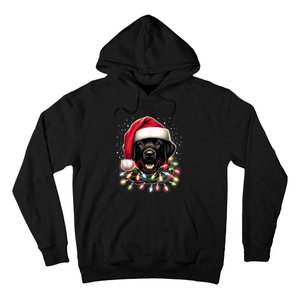 Black Lab Labrador Christmas Tree Light Pajama Dog Xmas Hoodie