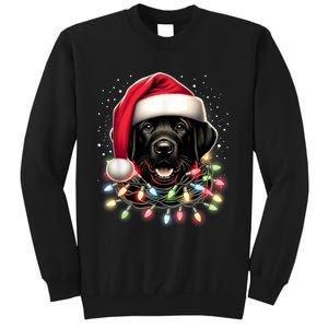 Black Lab Labrador Christmas Tree Light Pajama Dog Xmas Tall Sweatshirt