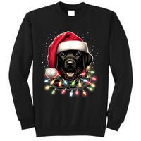 Black Lab Labrador Christmas Tree Light Pajama Dog Xmas Tall Sweatshirt