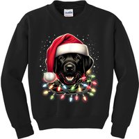 Black Lab Labrador Christmas Tree Light Pajama Dog Xmas Kids Sweatshirt