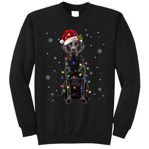 Black Lab Labrador Christmas Tree Light Pajama Dog Xmas Sweatshirt