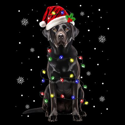 Black Lab Labrador Christmas Tree Light Pajama Dog Xmas T-Shirt