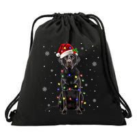 Black Lab Labrador Christmas Tree Light Pajama Dog Xmas Drawstring Bag