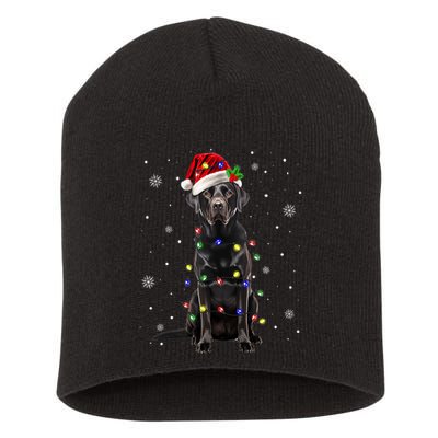Black Lab Labrador Christmas Tree Light Pajama Dog Xmas Short Acrylic Beanie