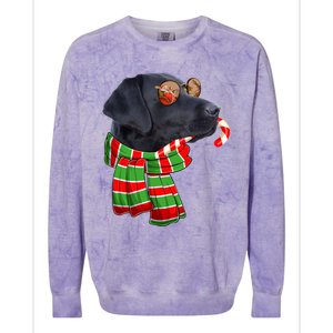 Black Lab Labrador Dog Owners Christmas Xmas Holiday Party Gift Colorblast Crewneck Sweatshirt